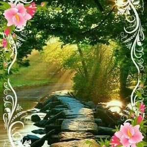 Meet your Posher, Shari